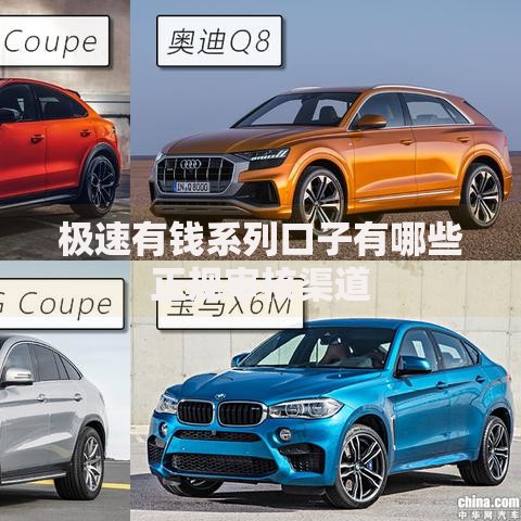 极速有钱系列口子有哪些正规审核渠道 极速有钱系列口子有哪些正规审核渠道