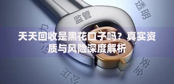 天天回收是黑花口子吗？真实资质与风险深度解析