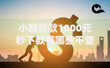 小额贷款1000元秒下款有哪些不查征信？正规平台选择指南