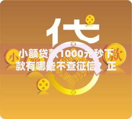 小额贷款1000元秒下款有哪些不查征信？正规平台选择指南