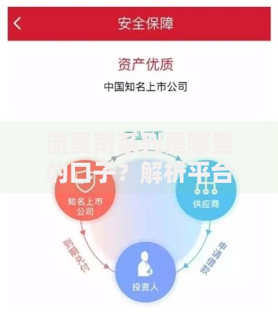 流星雨系列是哪里的口子？解析平台背景与合规性风险