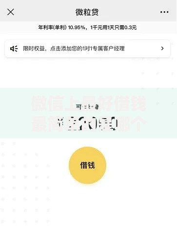 微信上最好借钱最简单的是哪个？这5个平台快速到账不踩坑！