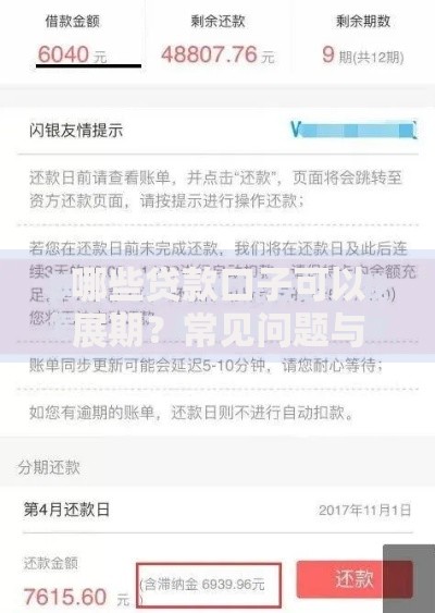 哪些贷款口子可以展期？常见问题与申请条件解析
