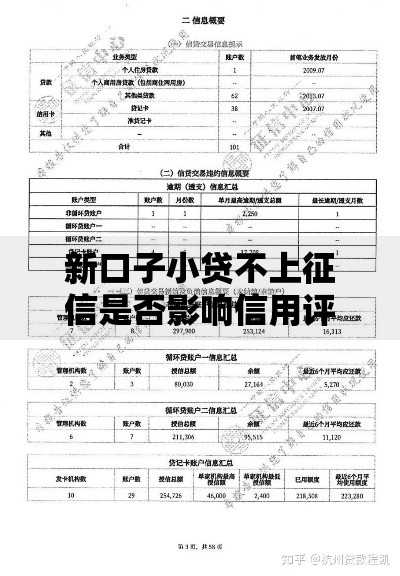 新口子小贷不上征信是否影响信用评估