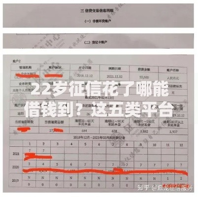 22岁征信花了哪能借钱到？这五类平台值得尝试