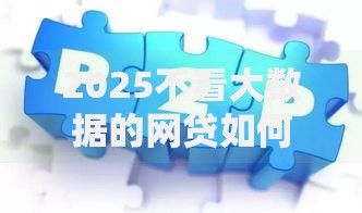 2025不看大数据的网贷如何实现精准风控？