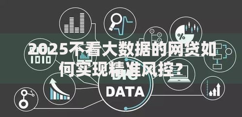 2025不看大数据的网贷如何实现精准风控？