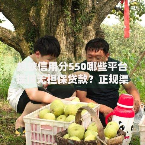 蚂蚁信用分550哪些平台提供无担保贷款？正规渠道解析