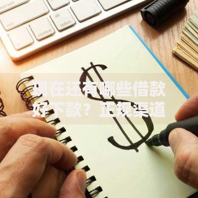 现在还有哪些借款好下款？正规渠道深度评测