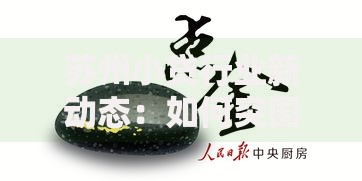 苏州小贷行业新动态：如何突围普惠金融新赛道？