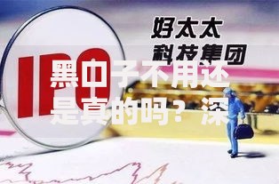 黑口子不用还是真的吗？深度解析背后真相与风险