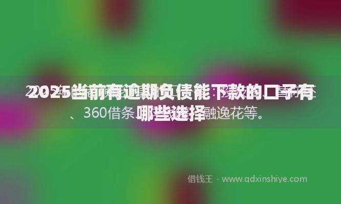 2025当前有逾期负债能下款的口子有哪些选择