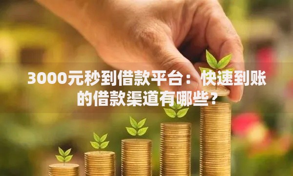 3000元秒到借款平台：快速到账的借款渠道有哪些？