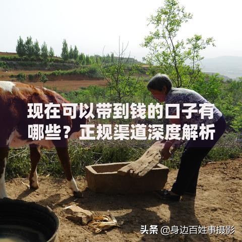现在可以带到钱的口子有哪些？正规渠道深度解析
