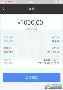花户容易下款的网贷审核机制与申请技巧