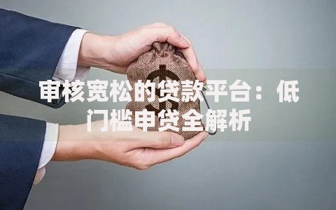 审核宽松的贷款平台：低门槛申贷全解析