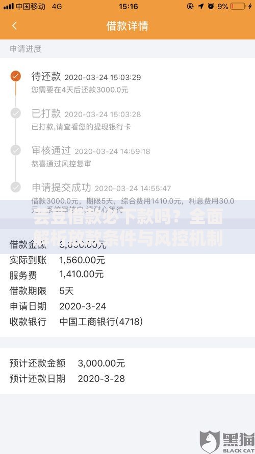 芸豆借款必下款吗？全面解析放款条件与风控机制