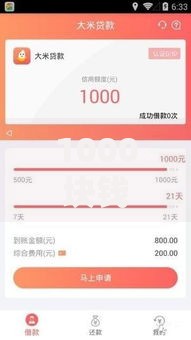 1000块钱的小额贷款线上放款申请流程全解析