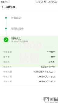 1000块钱的小额贷款线上放款申请流程全解析