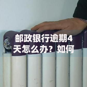 邮政银行逾期4天怎么办？如何处理？影响及应对策略解析