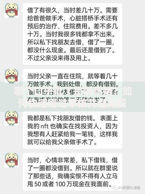 哪个口子批了是随意姐？如何快速通过审核并避免踩坑