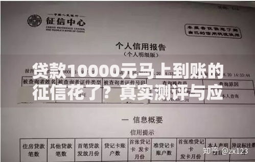 贷款10000元马上到账的征信花了？真实测评与应对策略