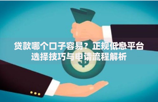 贷款哪个口子容易？正规低息平台选择技巧与申请流程解析