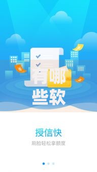 有哪些软件不看征信放款很快-深度解析平台特性与风险防范