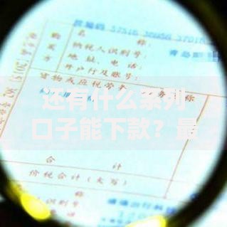 还有什么系列口子能下款？最新合规渠道解析