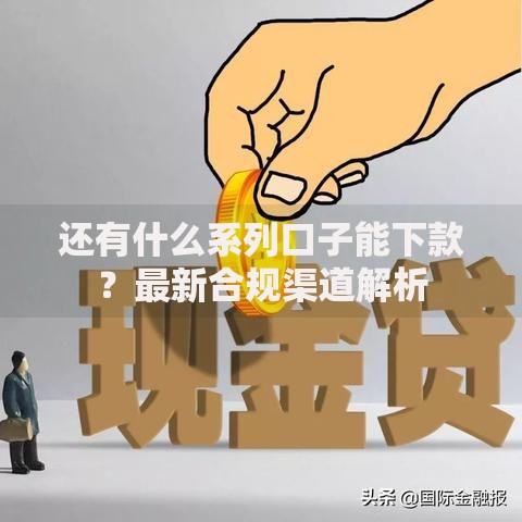 还有什么系列口子能下款？最新合规渠道解析