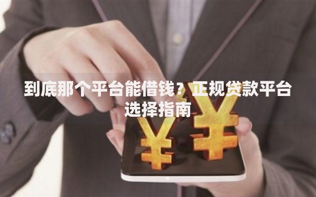 到底那个平台能借钱？正规贷款平台选择指南