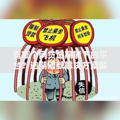 有哪个网贷逾期能下的平台？逾期借款解决方案解析
