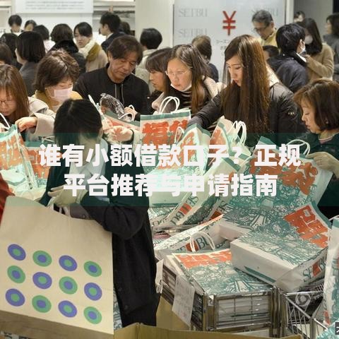 谁有小额借款口子？正规平台推荐与申请指南