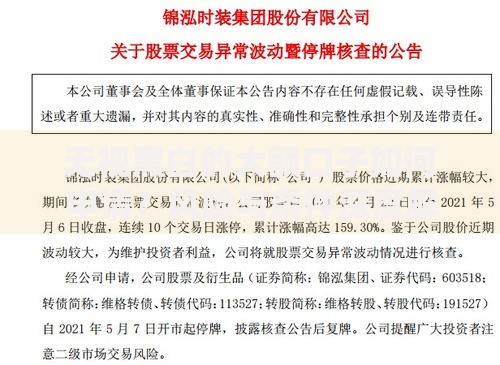 无视黑白的大额口子如何申请？风险与条件深度解析