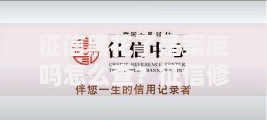 征信黑花了是案底吗怎么查？征信修复与查询全解析