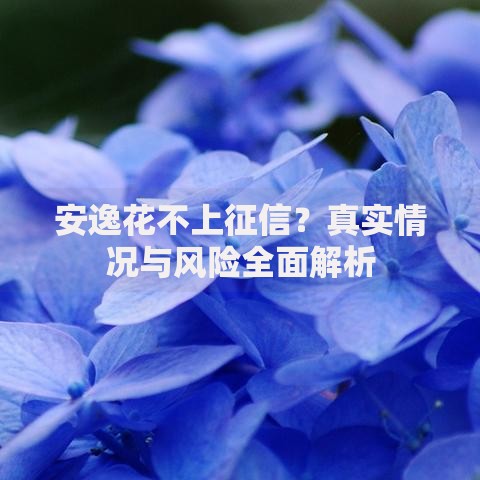 安逸花不上征信？真实情况与风险全面解析
