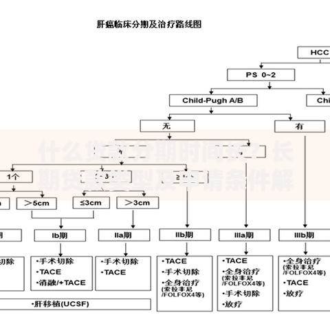 什么贷款分期时间长？长期贷款类型及申请条件解析