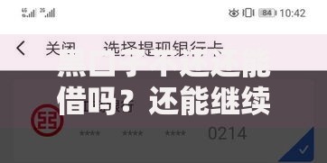 黑口子不还还能借吗？还能继续借款吗？