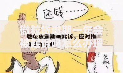 微粒贷逾期一年会被起诉吗怎么办理的应对指南