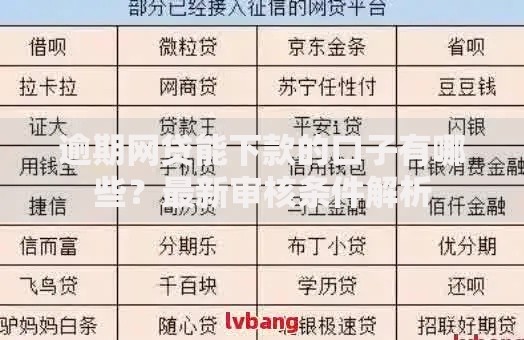 逾期网贷能下款的口子有哪些？最新审核条件解析