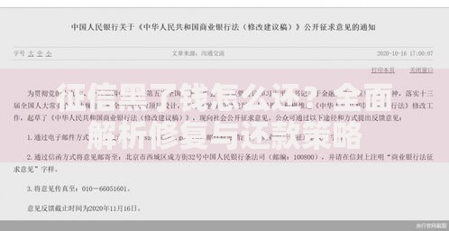 征信黑了钱怎么还？全面解析修复与还款策略