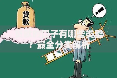 贷款的口子有哪些类型？最全分类解析