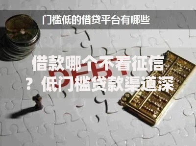 借款哪个不看征信？低门槛贷款渠道深度解析