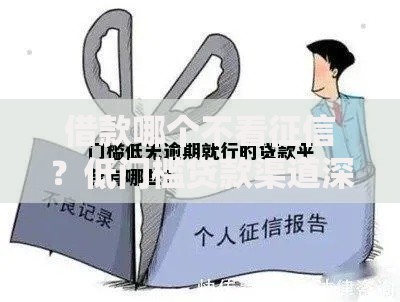 借款哪个不看征信？低门槛贷款渠道深度解析