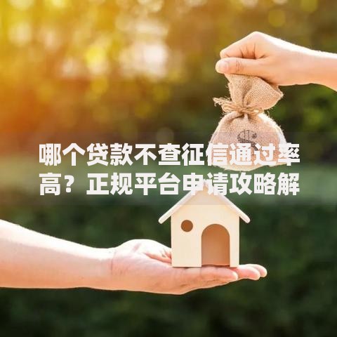 哪个贷款不查征信通过率高？正规平台申请攻略解析
