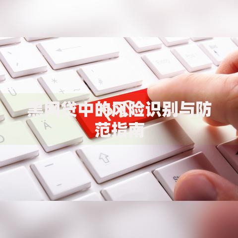 黑网贷中的风险识别与防范指南