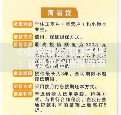 小额贷款公司口子吧：正规平台选择与申请流程解析