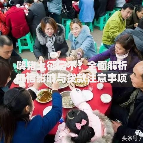 嗨猪上征信不？全面解析征信影响与贷款注意事项