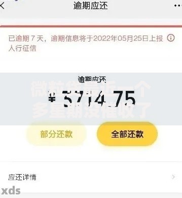 微粒贷最近一个多星期没催收了正常吗？真实原因解析