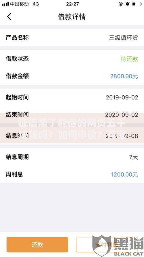 征信黑了能借的网贷五千块钱吗？如何申请？有哪些平台可选？